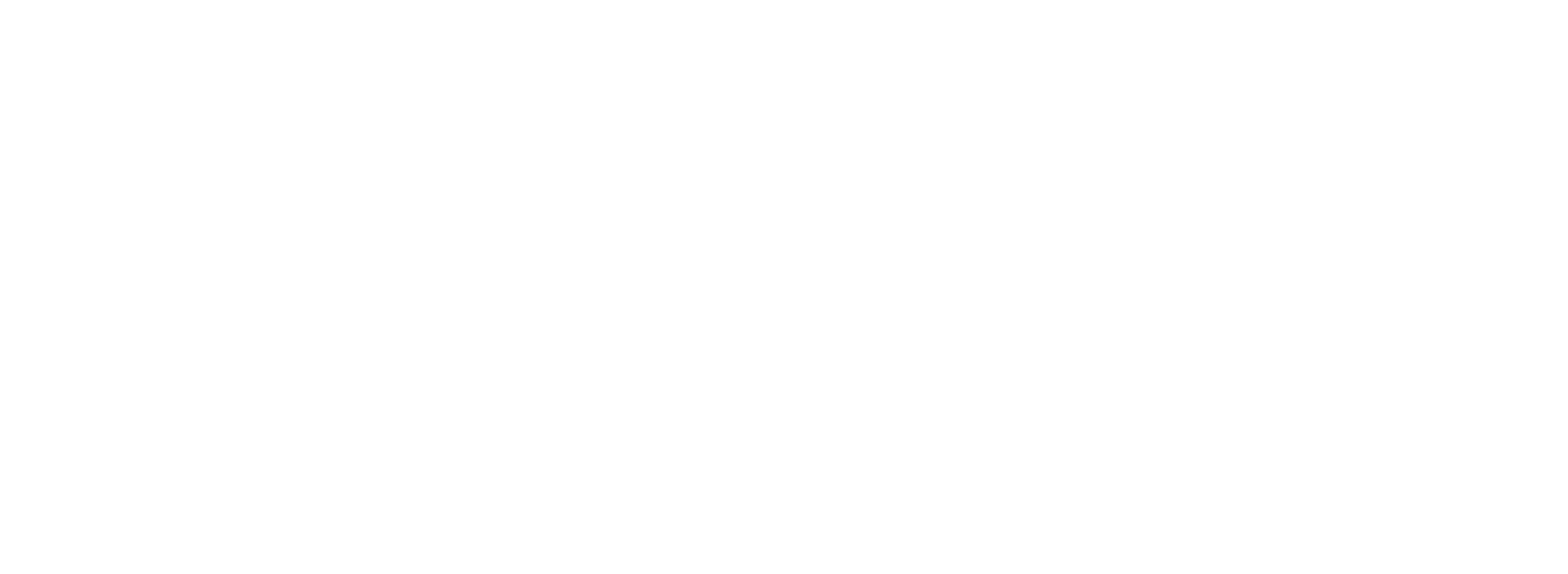Bonfire Training Logo White