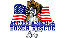 across-america-boxer-rescue-small Across America Boxer Rescue logo