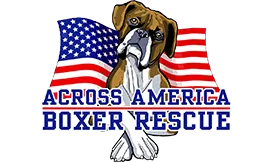 Across America Boxer Rescue logo