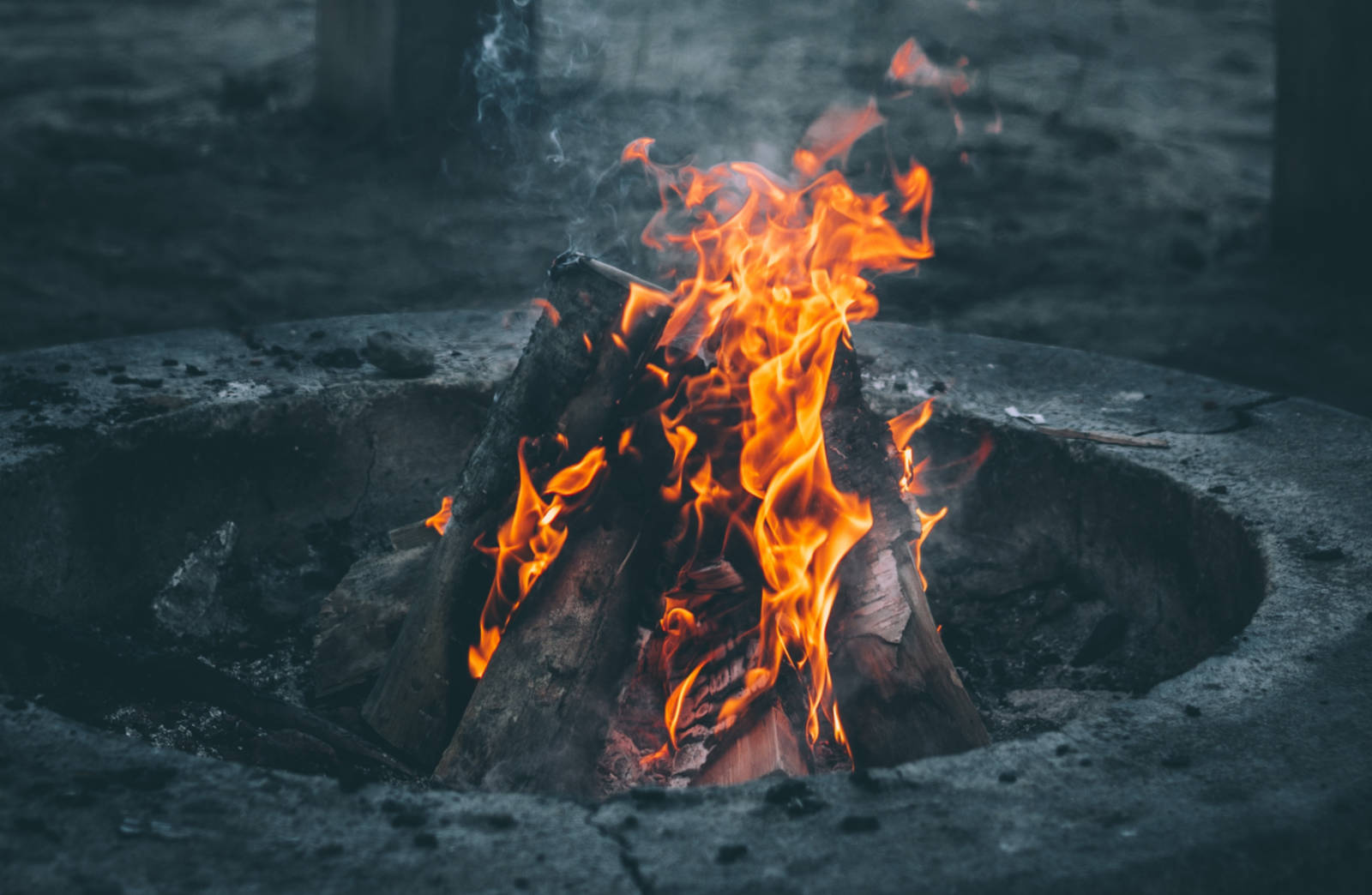Bonfire Training Testimonial