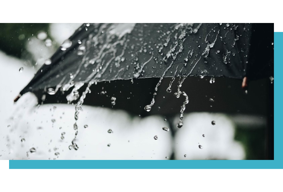 umbrella in rain