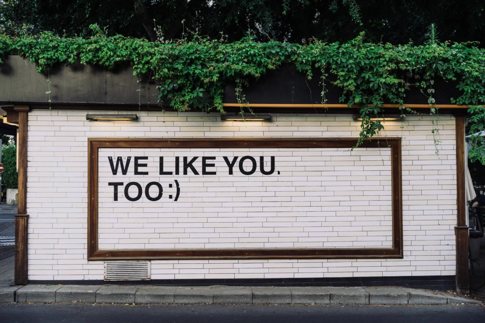 we  like you to img