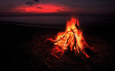 The History of Bonfire Training