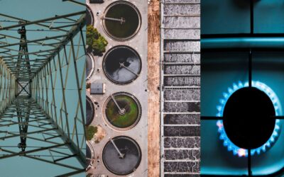 Customer Service Essentials for the Utility Industry