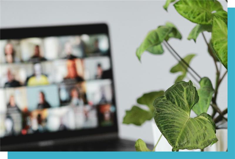 A laptop screen displaying a blurred video call sits behind a green leafy plant, suggesting a home office environment.