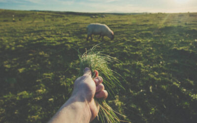 Building Employee Engagement: What You Need to Know