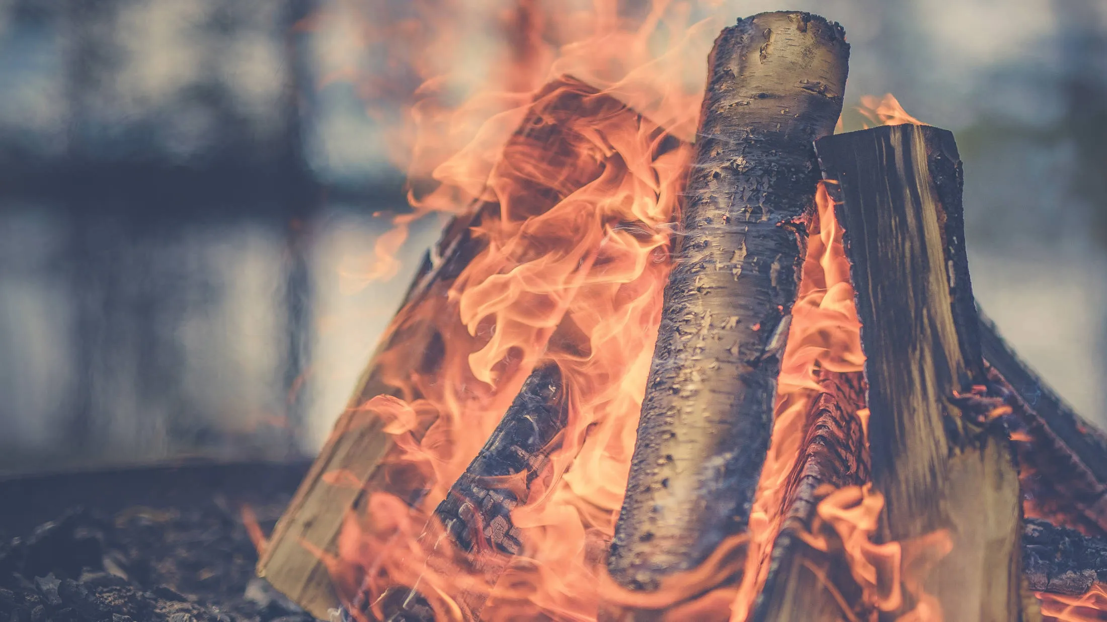bonfire training customer service training