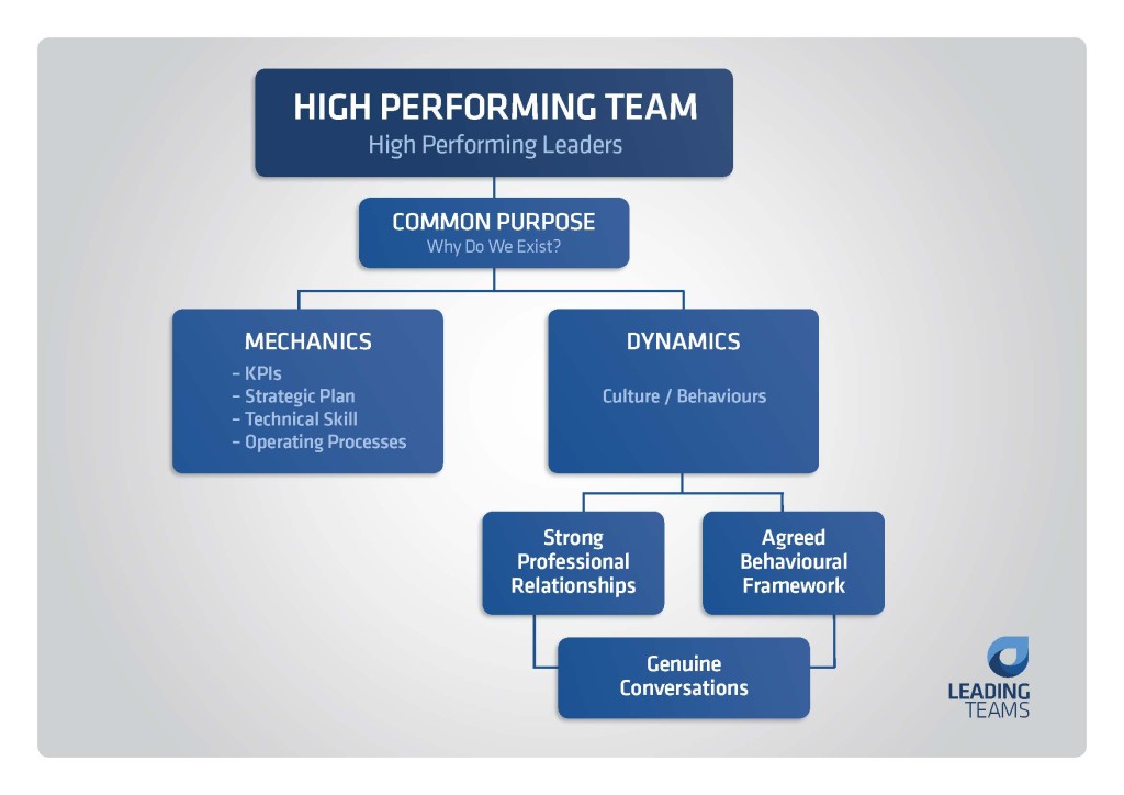 Diagram showing the components of a high-performing team, including common purpose, mechanics (KPIs, strategic plan, technical skill, operating processes), and dynamics (culture and behaviours), supported by strong professional relationships, an agreed behavioural framework, and genuine conversations